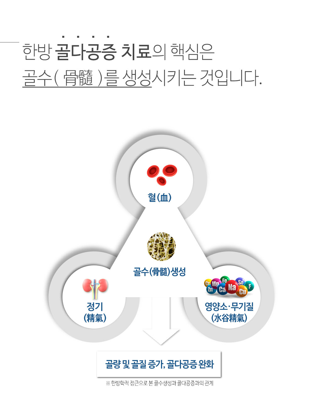 한국한의원, 한국한의원 골다공증 클리닉