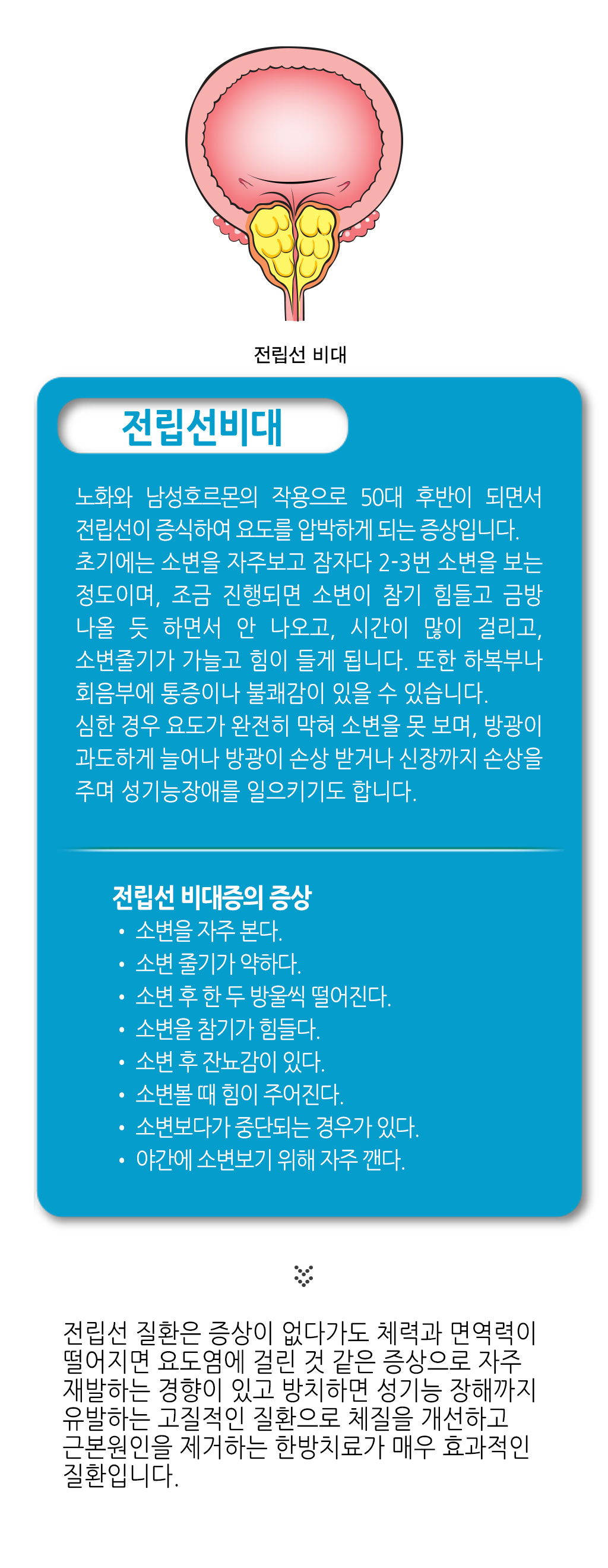 한국한의원, 한국한의원 전립선 클리닉, 전립선염, 전립선비대